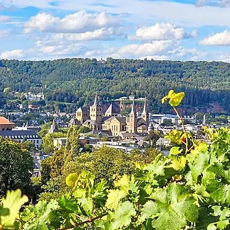 فندق Vintage Petrisberg