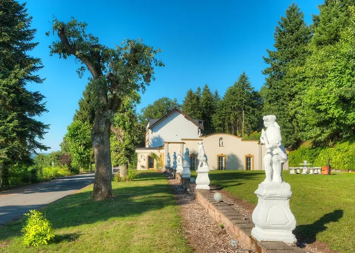 Vintage Petrisberg * Trewir