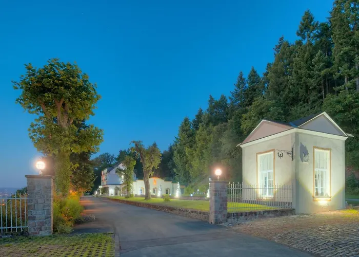 Vintage Petrisberg Hotel Trewir