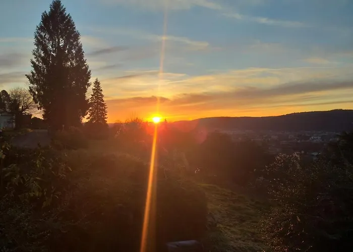 Vintage Petrisberg *