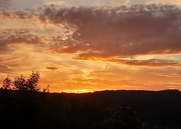 Hotel Vintage Petrisberg Trèves