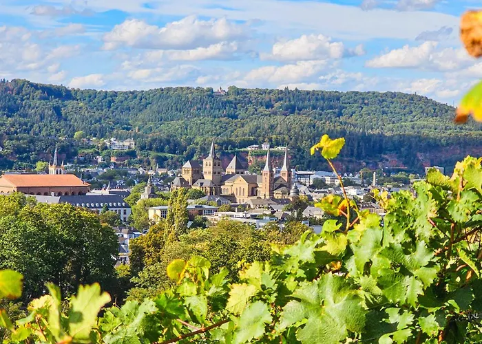 Vintage Petrisberg Trèves