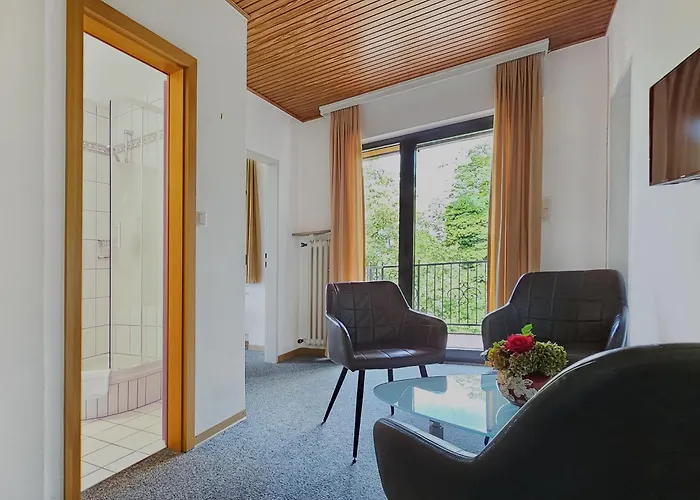 Vintage Petrisberg * Trèves