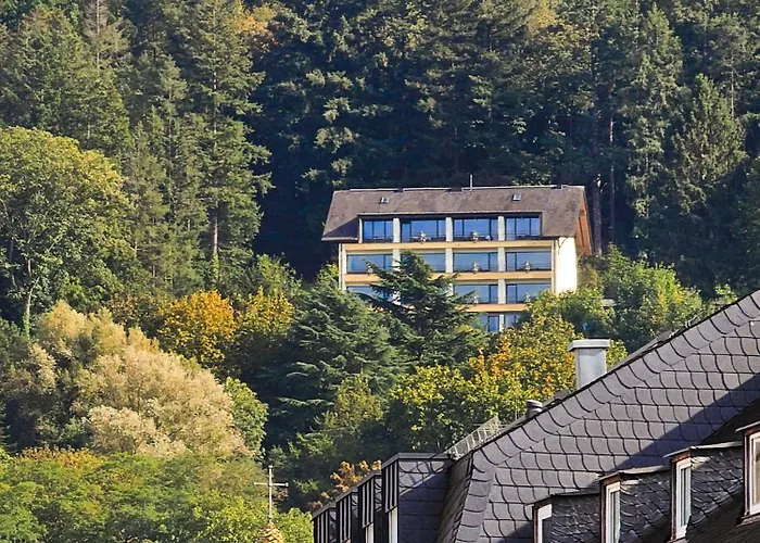 Hotel Vintage Petrisberg Trèves